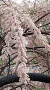 20210513_150654.webp