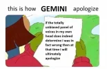 ! gemini apo.webp