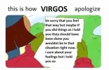 ! virgo apologize.webp
