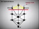 Sephiroth-Baum (3).webp