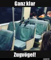 ! Zugvögel.webp