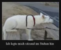 ! sitzen stehend.webp