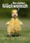 ! Glückwunsch.webp