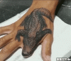! kroko.gif