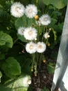 IMG_20210516_185224.webp