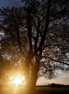 IMG_20210524_205723.webp