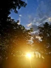 IMG_20210524_205741.webp
