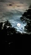 20210526_235837.webp