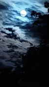 20210526_235240.webp