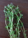 IMG_20210527_185608.webp