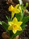 P1080036_1.webp