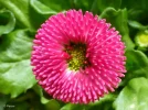 P1080042_1.webp