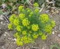 P1080060_1.webp