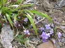 P1080061_1.webp