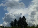 P1080066_1.webp