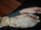 IMG-20200125-WA0000.webp