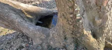 043.webp