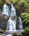 20210529_154647k_cropt.webp
