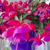 20210602_091024.webp