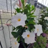 20210602_090824.webp