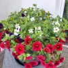 20210602_091052.webp