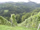 steiermark2.webp