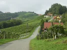 steiermark 3.webp