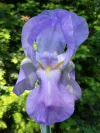 IMG_20210603_180906.webp