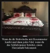 ! Bett.webp