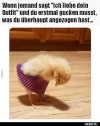 ! outfit.webp