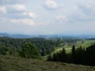 DSCN2942.webp