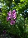 P1040850.webp