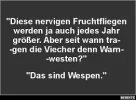 ! Wespen.webp