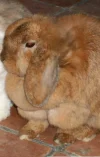 DSCN2469.webp