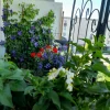 20210616_104950.webp