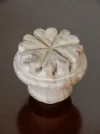 DSCN2949.webp