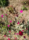 IMG_20210616_201117.webp