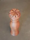 DSCN2956.webp
