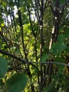 20210617_183253.webp