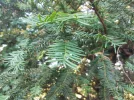 20210617_184555.webp