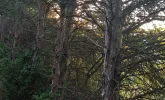 20210617_201227.webp