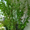 20210620_102623.webp