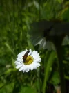 P1040920.webp