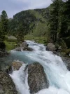 IMG-20210620-WA0017.webp
