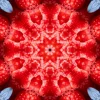 6054_mirror2.webp