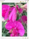 B19B427A-B698-4093-9A8B-AA998FCDB5BA.webp