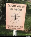! Mücken.webp
