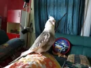 20210627_q.webp