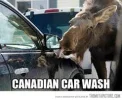 ! canada car wash.webp