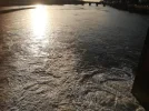 IMG_20210220_163805.webp